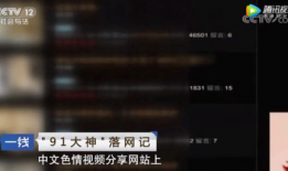 91视频,揭秘热门视频平台背后的精彩故事